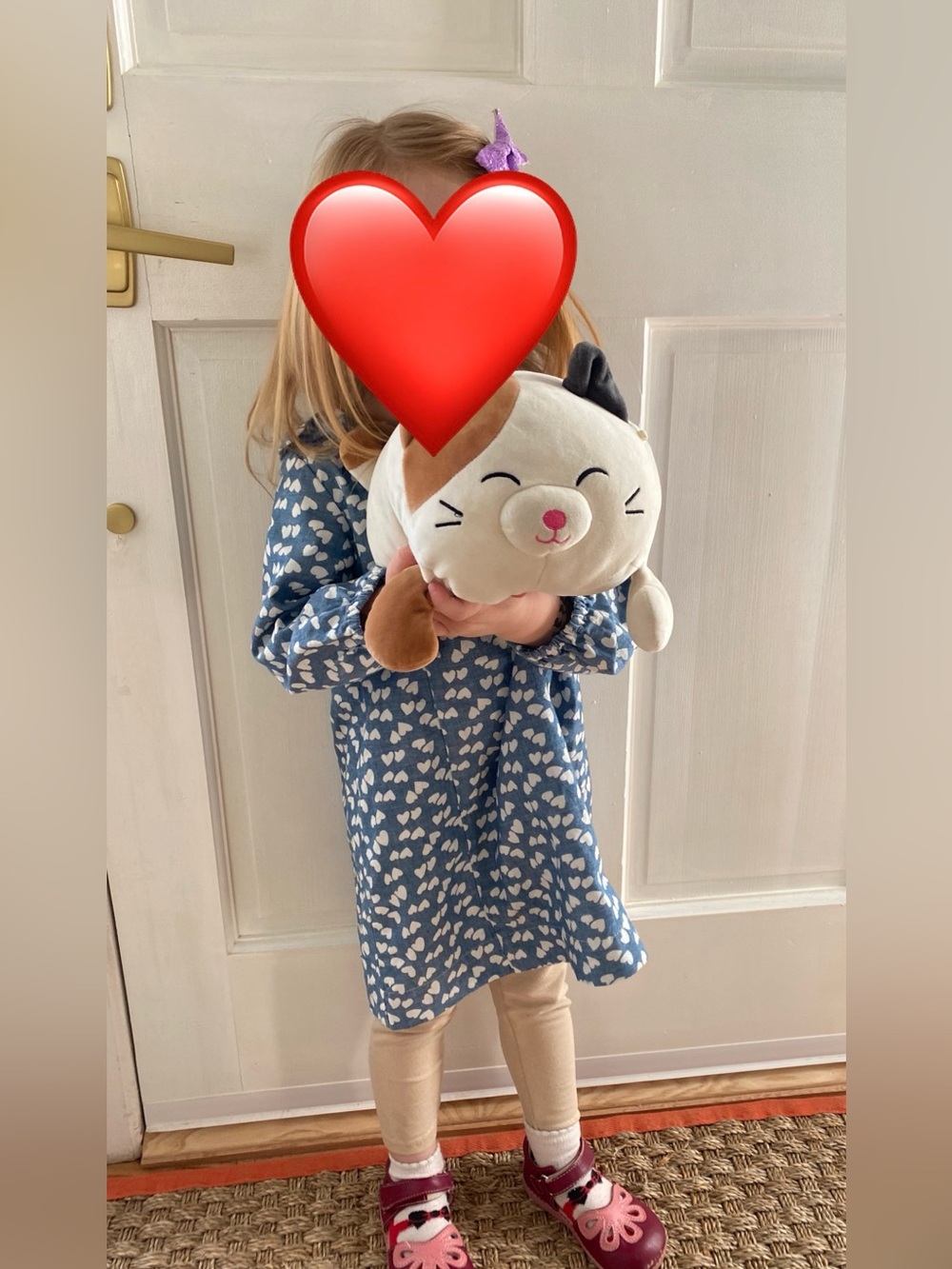 Two Crewcuts j crew sz 4 girls gingham and heart long sleeve dress bundle